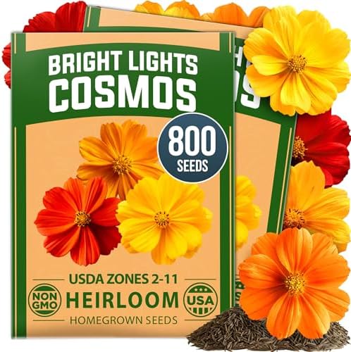 HOME GROWN Bright Lights Cosmos Mix Seeds, 800 Seeds, Cosmos sulphureus by HOMEGROWN