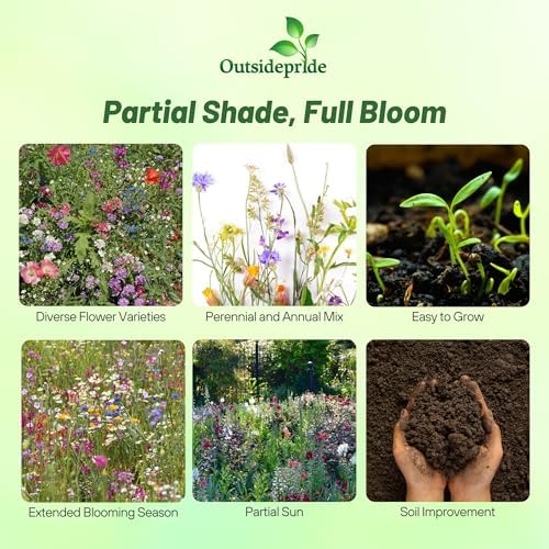 Outsidepride Partial Shade Wild Flower Seed Mix for All States - 1/4 lb. Premium Blend of Annual & Perennial Wildflowers, Perfect for Partial Shade Areas, & Outdoor Planting for Gardens & Lawns - Image 3
