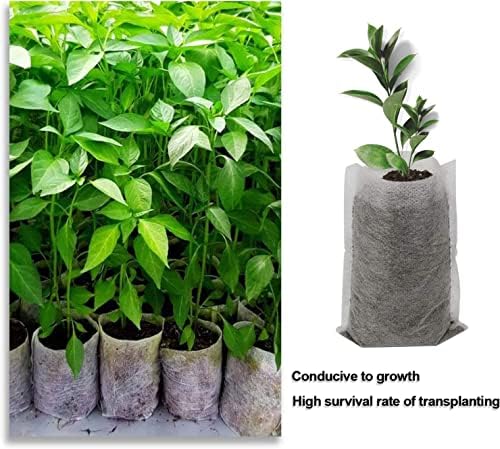 Augshy Grow Bags - 400pcs Plant Nursery Bags, Seeding Bags, Fabric Seedling Pots - Home Garden Outdoor Greenhouse Supplies - 11x11cm/4.2"x4.2" Non-Woven - Image 4