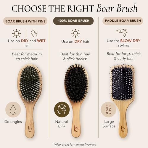 Boar Bristle Hair Brush for Fine & Thin Hair – 100% Soft Natural Bristles - Image 5