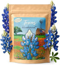 Texas Bluebonnet Seeds for Planting, 750+ Flower Seeds, Covers 200 Sq Ft by CreatedByNature