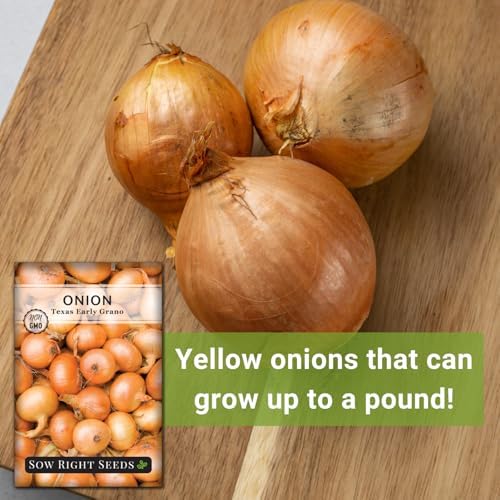 Sow Right Seeds Texas Early Grano Onion - Image 5