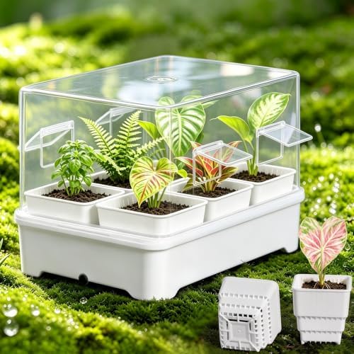 Seed Starter Tray Kit with Adjustable-Vent Humidity Dome & Air‑Pruning Cells, Reusable Plant Germination Trays with Superior Air & Drainage, Removable Cells for Flexible Transplanting, 6‑Cell by Meshpot