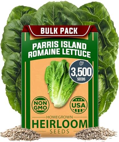 HOME GROWN Parris Island Romaine Seeds, 3,500+ Seeds, Lactuca sativa by HOMEGROWN