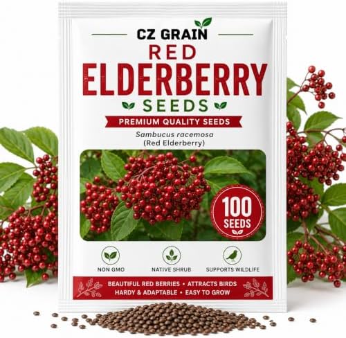 Red Elderberry Seeds for Planting | Native Berry Shrub | 100 Seeds by CZGrain