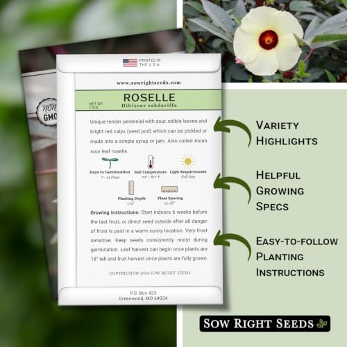 Sow Right Seeds - Roselle Hibiscus Seed for Planting Home Flower Garden - Image 2