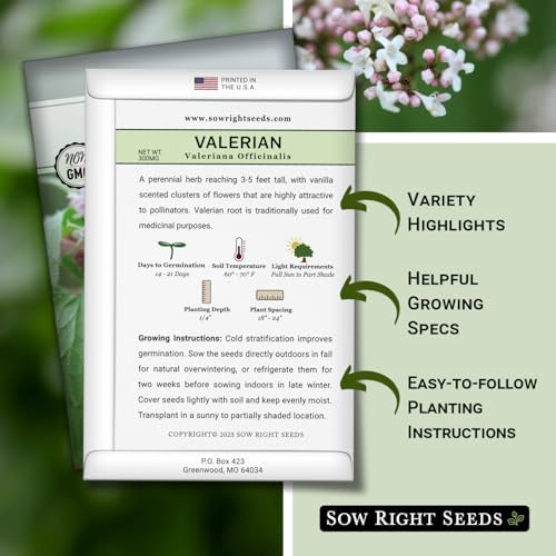 Sow Right Seeds - Valerian Seed for Planting Medicinal Perennial Herb 3pk - Image 2