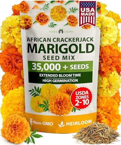 HOME GROWN Crackerjack Marigold Seeds, 35,000 Seeds, 4 oz by HOMEGROWN