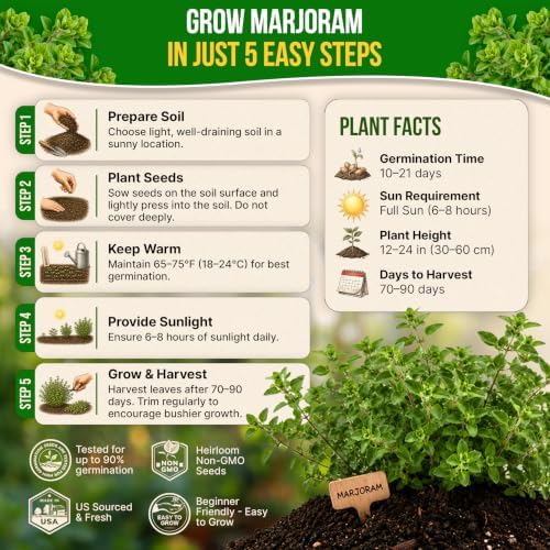 Marjoram Seeds Pack 0.15 G - Over 500 Non-GMO Heirloom Marjoram Seeds for Planting Herbs in Individual Seed Packet - Image 6