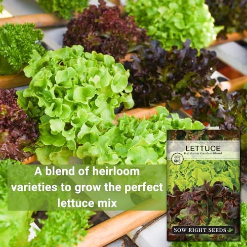 Sow Right Seeds- Heirloom Garden Blend Lettuce Seed for Planting Greens 2pk - Image 3
