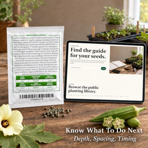 120 Clemson Spineless Okra Seeds for Planting - Heirloom, Non-GMO, USA Grown Seeds in Premium Waterproof Packaging - Lady's Finger, Gumbo, Bhindi by RDR Seeds - Image 6