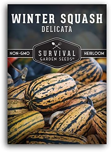 Delicata Winter Squash Seeds for Planting - 1 Pack by SurvivalGardenSeeds