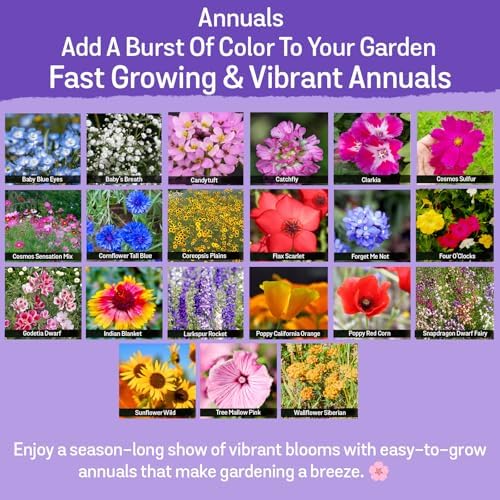 NatureZ Edge Wildflower Seeds Mix – 2 Oz, 85,000 Seeds, 35 Variety Perennial & Annual Flower Seeds to Plant Outside, Bulk Wildflower Seeds, Wild Flower, Semillas de Flores - Image 3