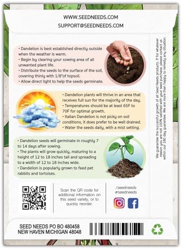 Seed Needs Garnet Stem Dandelion Seeds to Plant an Herb Garden - 1 Pack - Image 2