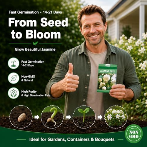 420+ Climbing Jasmine Flower Seeds Fragrant Plant for Planting Garden Home Four Seasons Evergreen Silver Jasmine Garden Balcony Climbing Flower Non-GMO - Image 2
