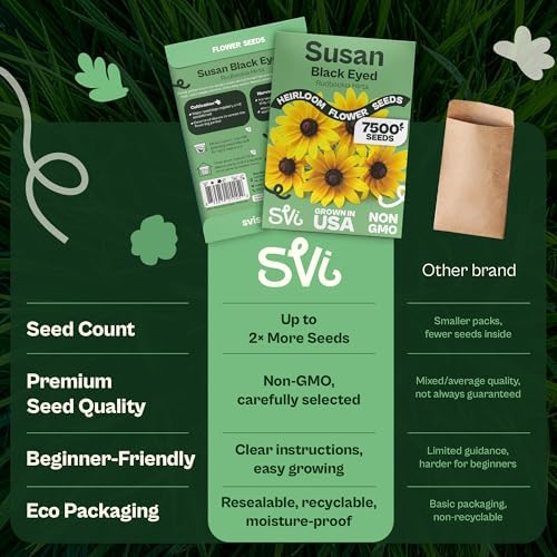 SVI 7500 Black Eyed Susan Seeds (Rudbeckia Hirta) – Black-Eyed Susan Wildflower Seed Packets Bulk, Rudbeckia – Daisy Flower Seeds for Outside & Indoor Flower Garden Containers - Image 6