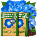 HOME GROWN Heavenly Blue Morning Glory Seeds, 300 Seeds, Ipomoea tricolor by HOMEGROWN