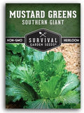 Southern Giant Mustard Green Seeds for Planting - 1 Pack by SurvivalGardenSeeds