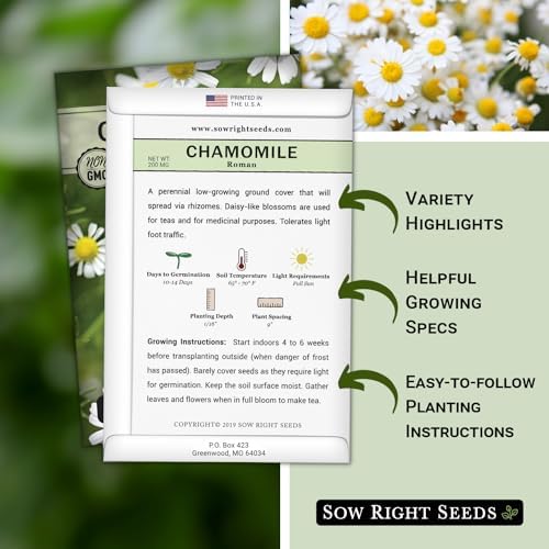Sow Right Seeds - Roman Chamomile Seed for Planting Medicinal Herb Garden - Image 2