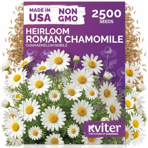 2500 Roman Chamomile Heirloom Perennial Flower Seeds, Chamaemelum Nobile by KVITER