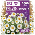 2500 Roman Chamomile Heirloom Perennial Flower Seeds, Chamaemelum Nobile by KVITER