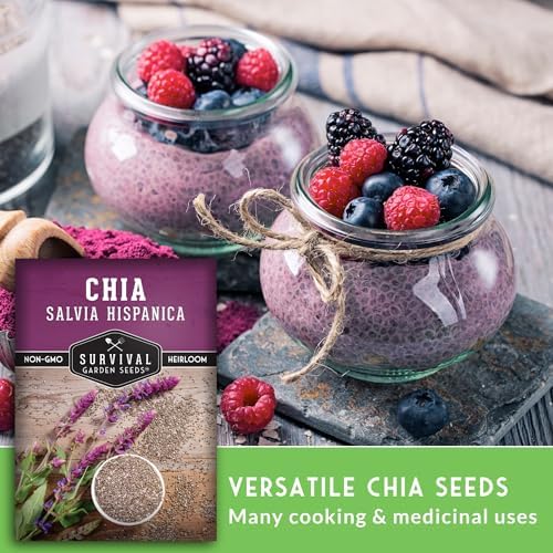 Chia Seeds for Planting – Mexican Salvia Hispanica (2 Pack) - Image 4