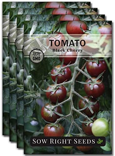 Sow Right Seeds - Black Cherry Tomato Seed for Planting Garden Tomatoes 4pk by SowRightSeeds