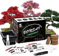 Meekear 5 Bonsai Tree Kit Complete Plant Growing Tools, Grow in Pot Indoor Bonsai Tree Starter Kit, Great Home Gardening Potted Plants DIY Gift for Adults by Meekear-BEWITHYOU