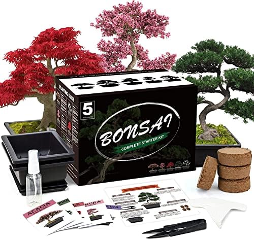 Meekear 5 Bonsai Tree Kit Complete Plant Growing Tools, Grow in Pot Indoor Bonsai Tree Starter Kit, Great Home Gardening Potted Plants DIY Gift for Adults by Meekear-BEWITHYOU