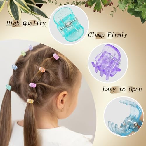 KANPRINCESS 70PCS Mini Hair Clips with Fancy Box Classics Small Claw Clips for Women and Girls Hair Accessories for Gift(SET10) - Image 3