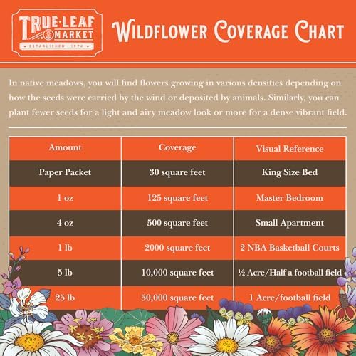 Mountain Valley Seed Co Southwestern Wildflower Seed 1/4 Lb 160,000+ Seeds - Image 5