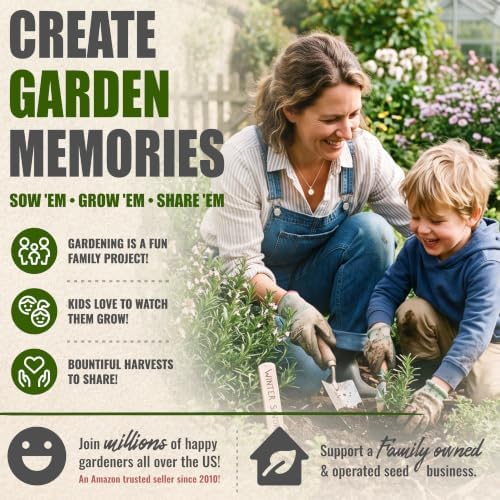 Seed Needs Winter Savory Seeds to Plant an Herb Garden - 2 Packs - Image 6