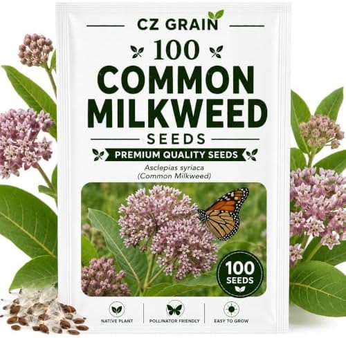 Common Milkweed Seeds for Planting | Monarch Butterfly Flower | 100 Seeds by CZGrain