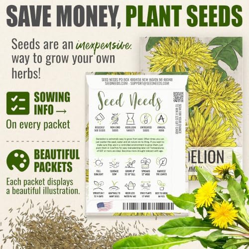Seed Needs Common Dandelion Seeds to Plant an Herb Garden - 5 Packs - Image 3