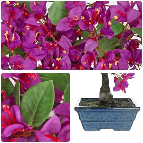 Briful Artificial Bougainvillea Tree in Blue Pot 18.5" Tall Faux Bougainvillea Floral Tree Tropical Silk Fake Bougainvillea Plant for Home Office Living Room Table Décor(Purple) - Image 3