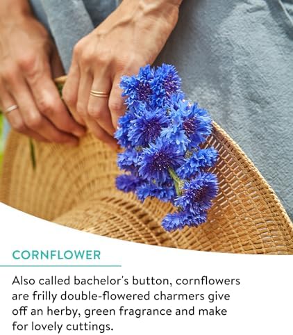 Burpee Wildflower Seeds Cutting Mix | 25,000 Bulk Seeds, Multi, 1 Bag | 15 Varieties of Non-GMO Flowers | Perennial Wildflower Mix | Covers 1,000 Sq. Ft. - Image 3
