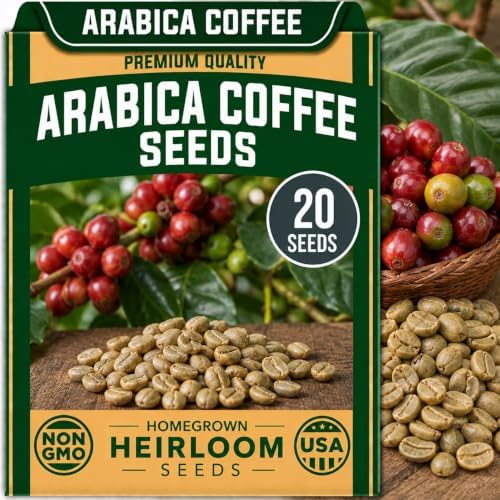Seeds for Planting, 20 Arabica Coffee by CZGrain