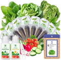 Hydroponic Salad Seed Pod Kit - 8 Pods Veggie Starter Kit for All Hydroponics Growing Systems with 600+ Seeds: Cherry Tomato, Butterhead, Romaine, Spinach, Mini Cucumber, Radish by HiHOYA