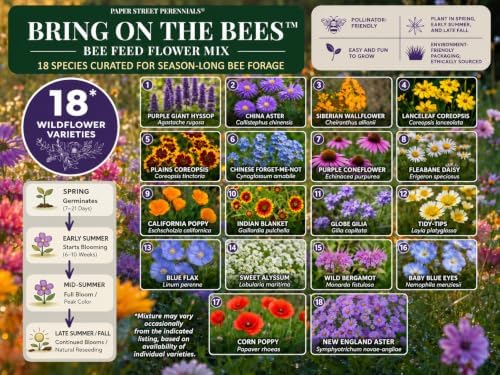 Wildflower Seeds for Bees & Pollinators – Bring On the Bees™ – 18-Species Mix with Coneflower, Blue Flax, Bergamot & Coreopsis – 4 oz Covers 750 Sq Ft – Paper Street Perennials® - Image 3