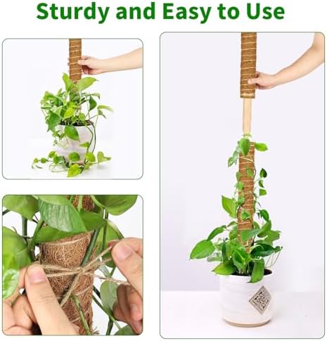 ALENEY Moss Pole, 4 Pack 17inch Monstera Plant Support Stackable Moss Poles for Plants, Coir Totem Pole Tall Moss Pole for Climbing Plants, Sphagnum, Indoor Potted Plants - Can Stacked Up to 56’’ - Image 5