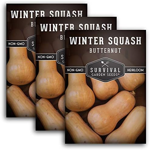 Butternut Squash Seeds for Planting - 3 Packs by SurvivalGardenSeeds