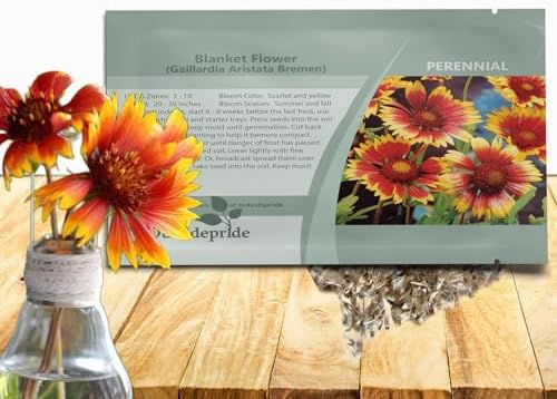 Outsidepride Gaillardia Aristata Bremen Blanket Flower Seeds for Planting - 1000 Pcs Perennial Wildflower Seeds, Drought-Tolerant for Xeriscaping, Borders, Pollinator Gardens, or Wildflower Mixes by Outsidepride