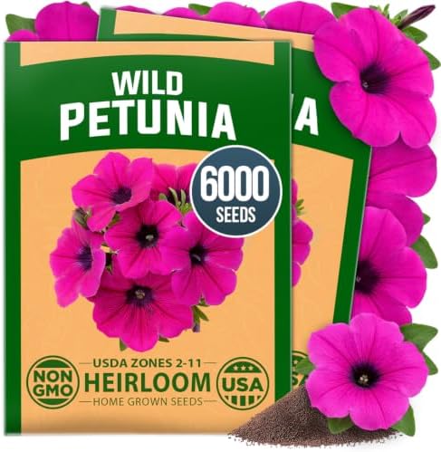 HOME GROWN Wild Petunia Seeds for Planting, 6,000 Seeds, Petunia violacea by HOMEGROWN