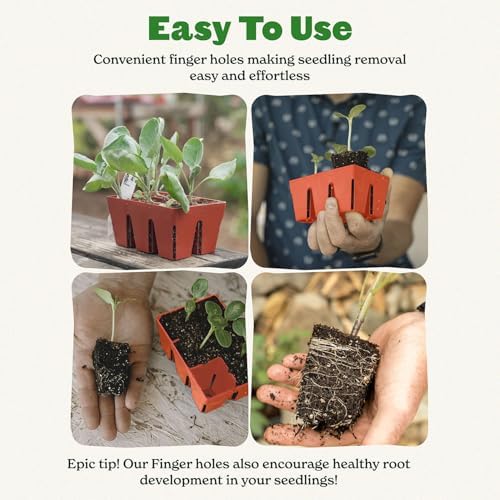 Epic Gardening 6-Cell Seed Starter Tray - 24 Trays - Terracotta - Image 4