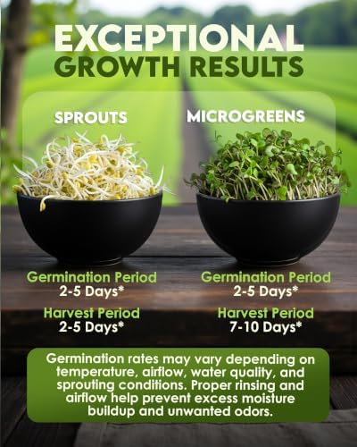 Nature Jim's Sprout Organic Broccoli Seeds – Non-GMO, Sprouting Seeds - 8oz - Image 5