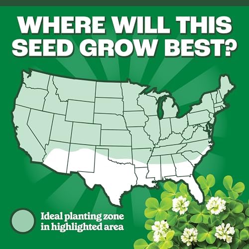 Pennington White Clover Seeds for Lawn, 2 lb - Image 7