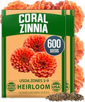 HOME GROWN Coral Zinnia Seeds, 600 Seeds, Zinnia elegans by HOMEGROWN