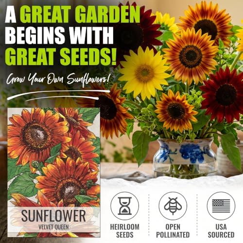 Seed Needs Sunflower Seeds Variety Pack of 6 Flowers for a Butterfly Garden - Image 2