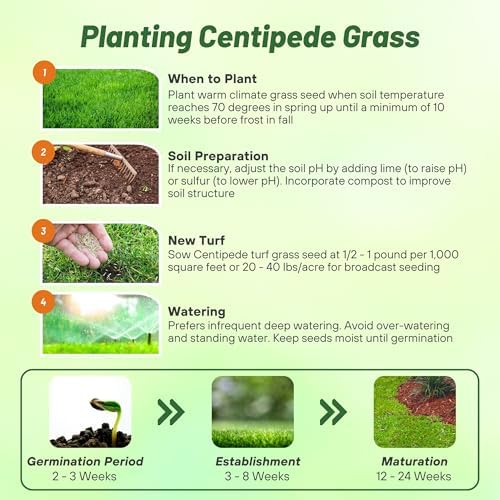 Outsidepride Centipede Grass Seed - 1 Lb Slow Growing, Shade & Drought Tolerant, Coarse Leaved Warm Season General Purpose Turf Grass Seed, Ideal Versatile & Low Maintenance Lawn Solution - Image 4