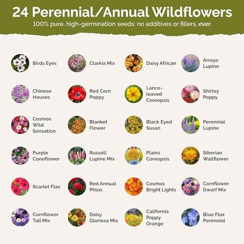 Eden Brothers Southwest Wildflower Mixed Seeds for Planting, 1 lb - Image 3